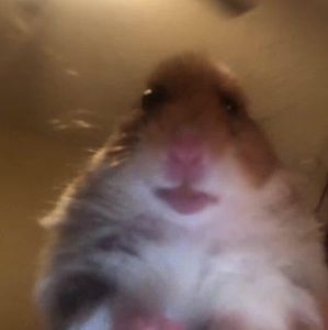 Meet your Posher, Jacob